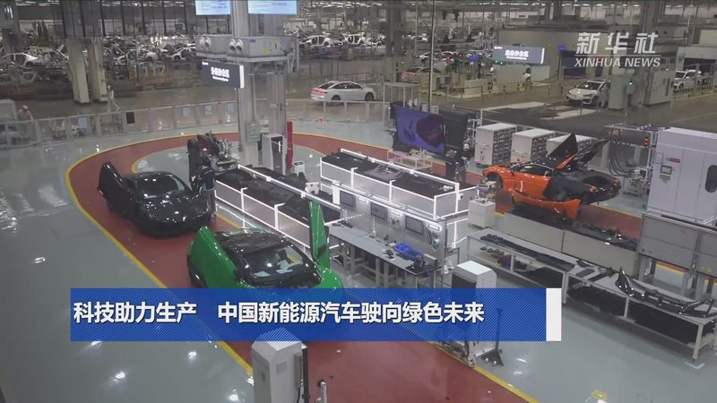 三元锂与铁锂：揭秘充放电倍率背后的秘密